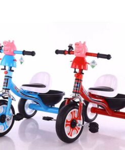 Xe đạp ba bánh kiểu cách lạ Bear DR-F6 8 Xe Dap Ba Banh Kieu Cach La Bear Dr F6 (6)