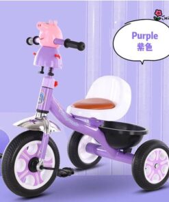 Xe đạp ba bánh kiểu cách lạ Bear DR-F6 10 Xe Dap Ba Banh Kieu Cach La Bear Dr F6 (8)