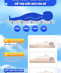 Nệm xơ dừa Chilux tặng ga 8 nem xo dua chilux tang ga 8 shopcon