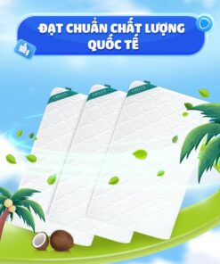 Nệm xơ dừa Chilux tặng ga 7 nem xo dua chilux tang ga 9 shopcon