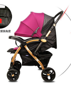 Xe Day Cao Cap 2 Chieu Baobaohao C8 (2)