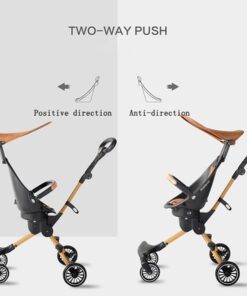 Xe Day Baobaohao V5 Di Du Lich Gap Gon Co Mai Che Ghe Xoay 2 Chieu (8)