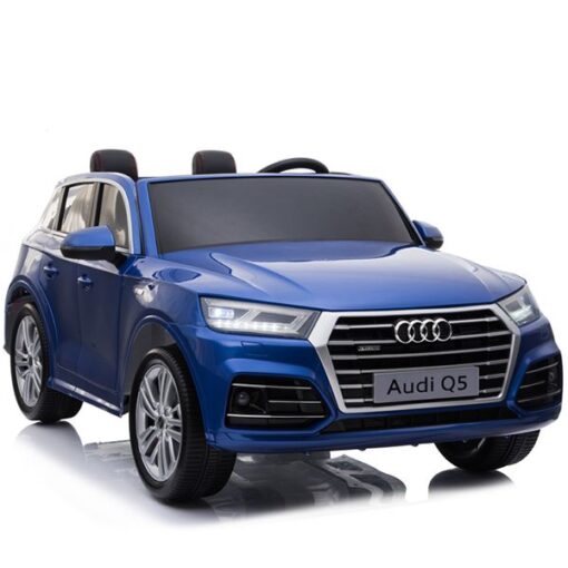 Xe Hoi Dien Audi Q5 (3)