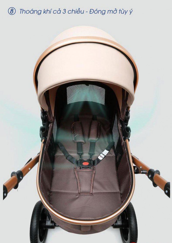 Xe Day Chilux Xt01 (13)