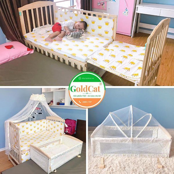 cui giuong goldcat c4m da nang 1 shopcon