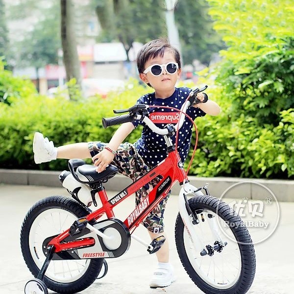 Xe Dap Royalbaby Freestyle Space Rb 17 A.jpg